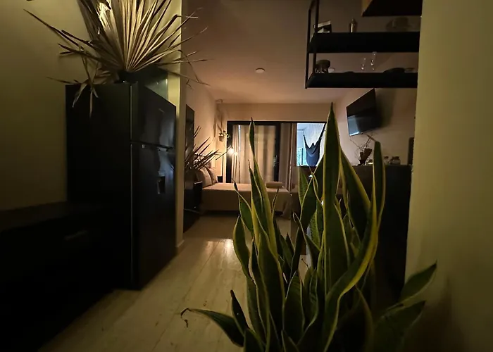 Naia Apartment