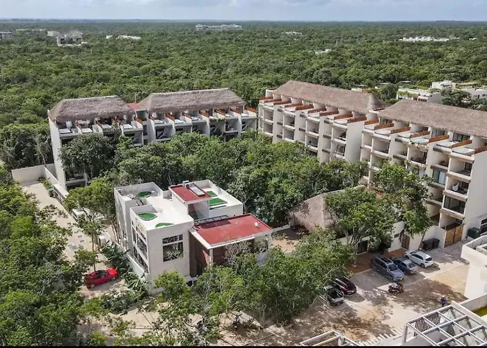 Naia